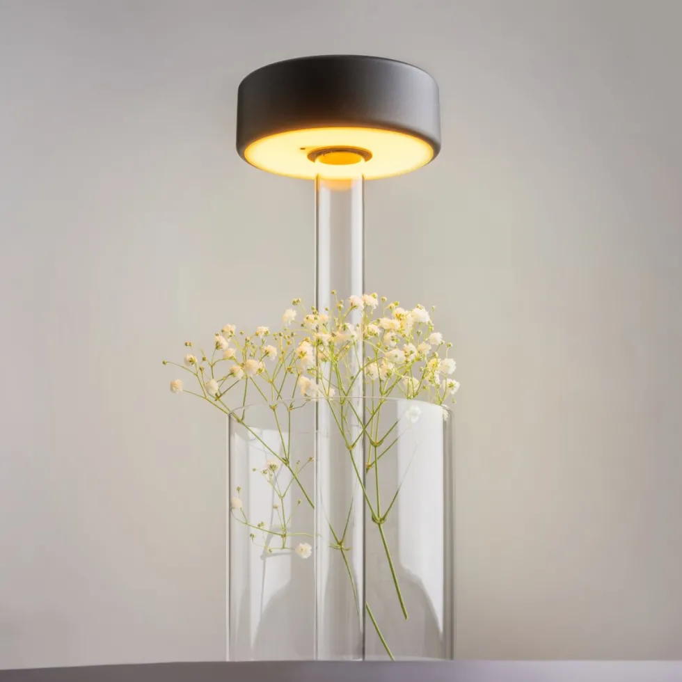 AI Collaboration 35cm portabel