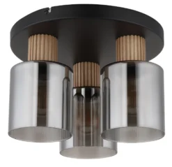 Aleidis 3 plafond