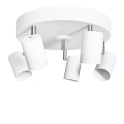 Aurora 5 spotlight