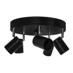 Aurora 5 spotlight