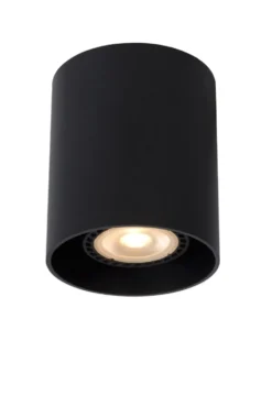 Bodi spotlight