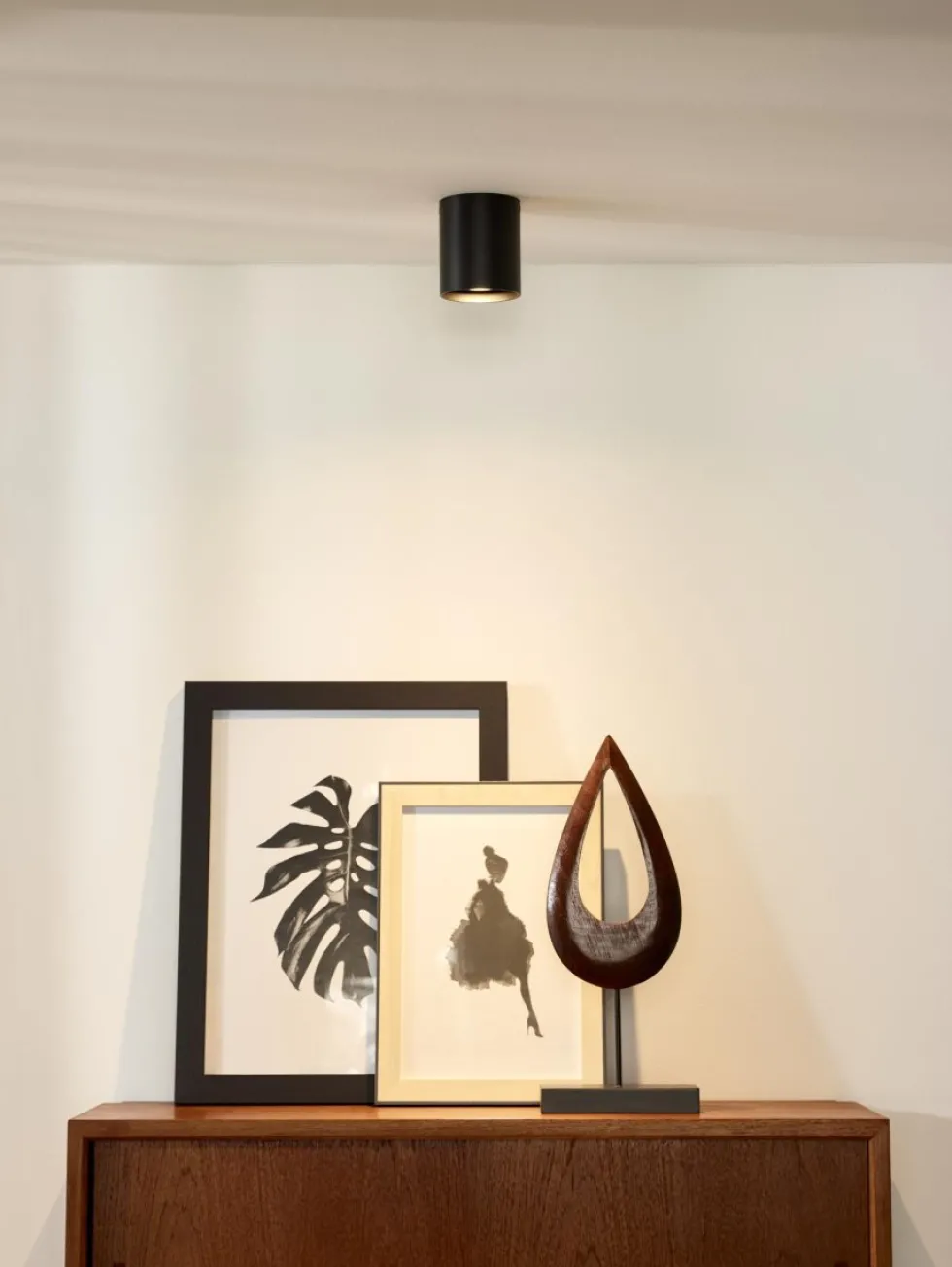 Bodi spotlight