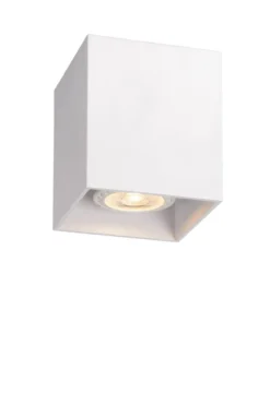 Bodi spotlight
