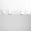 Bot 4 spotlight