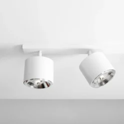 Bot 4 spotlight