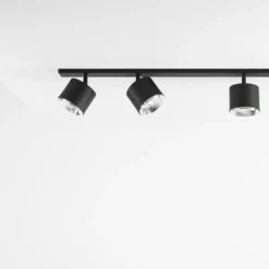 Bot 6 spotlight