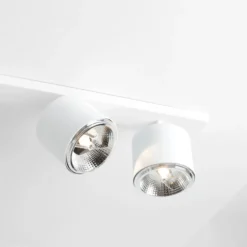 Bot 6 spotlight