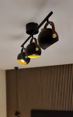 Bow 3 spotlight