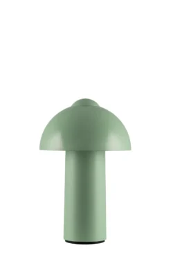 Buddy 25cm portabel