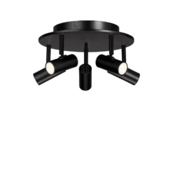 Cato 5 spotlight
