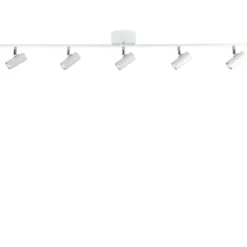 Cato 5 spotlight