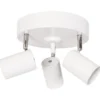 Correct 3 spotlight