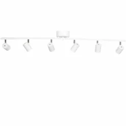 Correct 6 spotlight