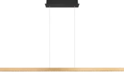 Dentsy 150cm taklampa