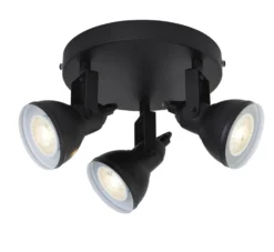 Focus 3 spotlight