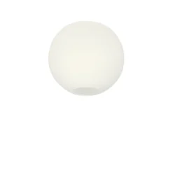 Glob Ø26 plafond