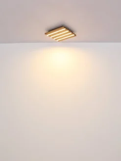 Hayden 30cm plafond