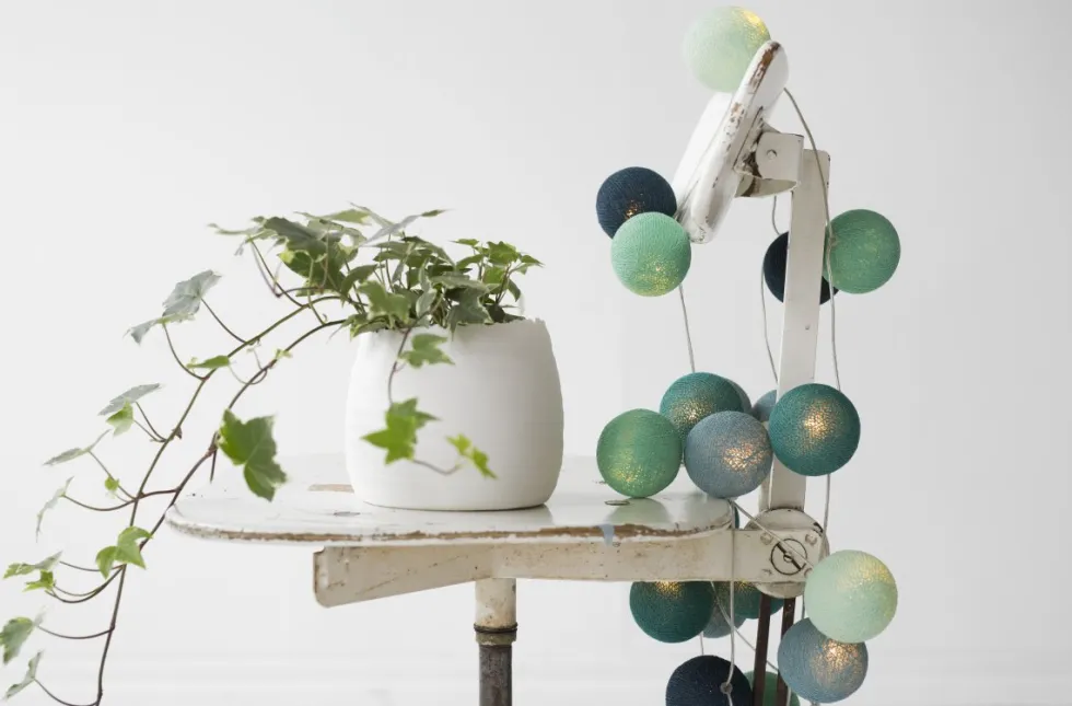 Irislights Cool Mint 35 bollar