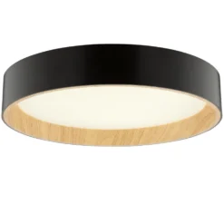Larios Ø38 plafond