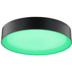 Larios Ø40 plafond