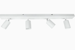 Line 4 spotlight