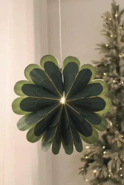 Marigold Ø45