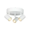 Omega 3 spotlight