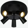 Pilot 5 spotlight