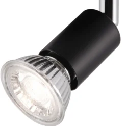 Prato 4 spotlight