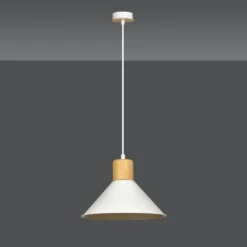 Rowen Ø25 taklampa