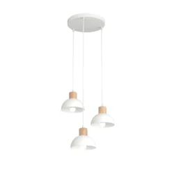 Seco Ø30 taklampa