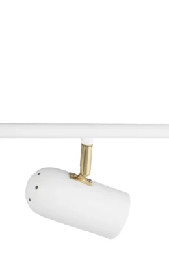 Swan 3 spotlight