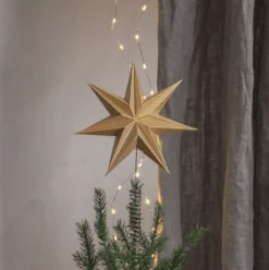 Toppstjärna Isa