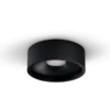 Tora