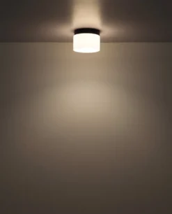Trenton Ø20 plafond