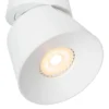 Trigono spotlight