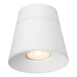 Trigono spotlight