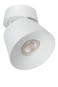 Trigono spotlight