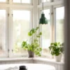Tulippa Ø17 fönsterlampa