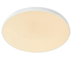 Unar Ø80 plafond