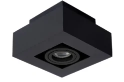 Xirax spotlight
