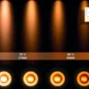 Xyrus 2 spotlight