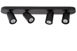Xyrus 4 spotlight