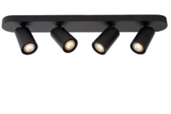 Xyrus 4 spotlight