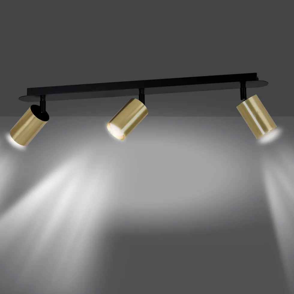 Zen 3 spotlight