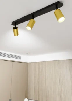 Zen 3 spotlight
